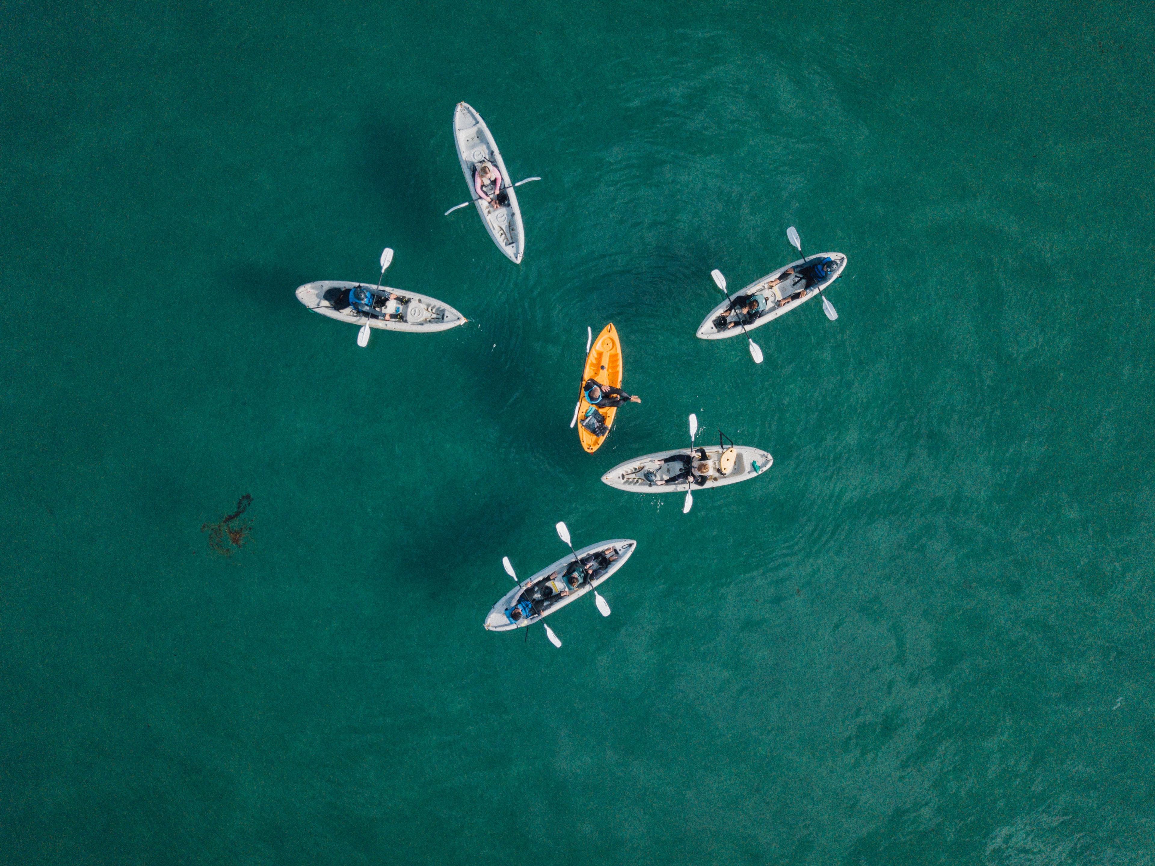 Kayak