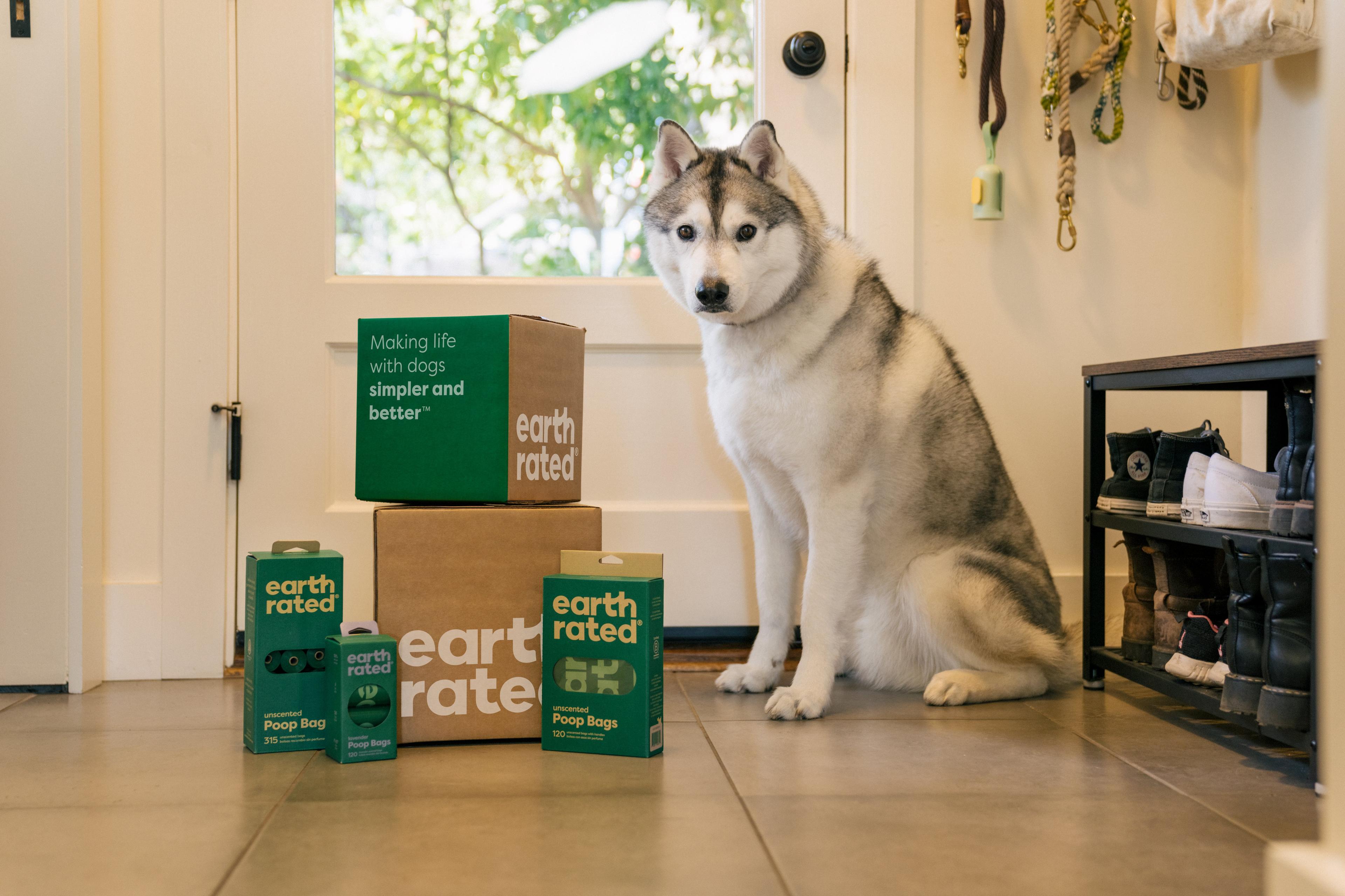 Shipping and Delivery
