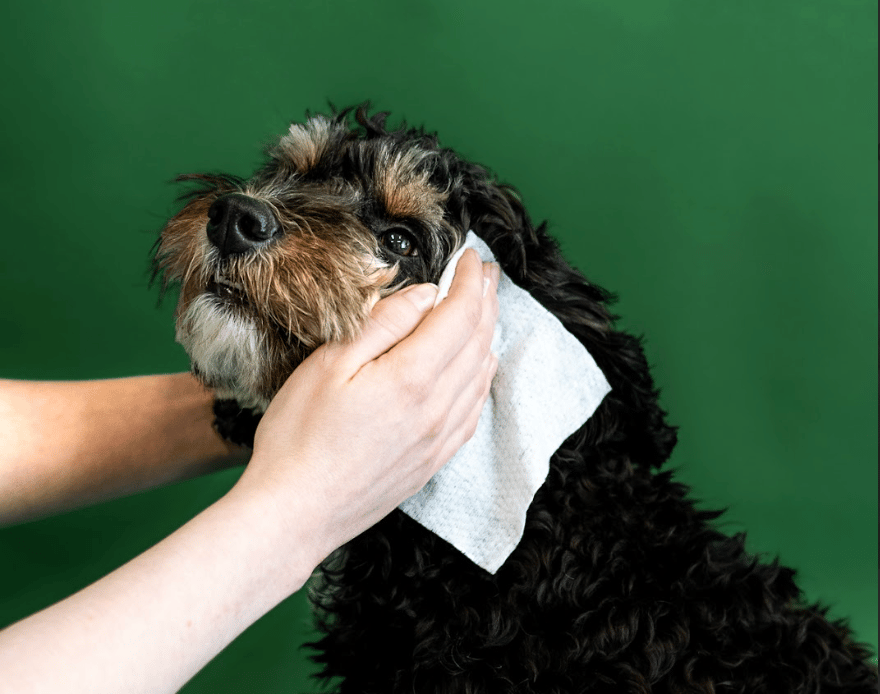 Wipes