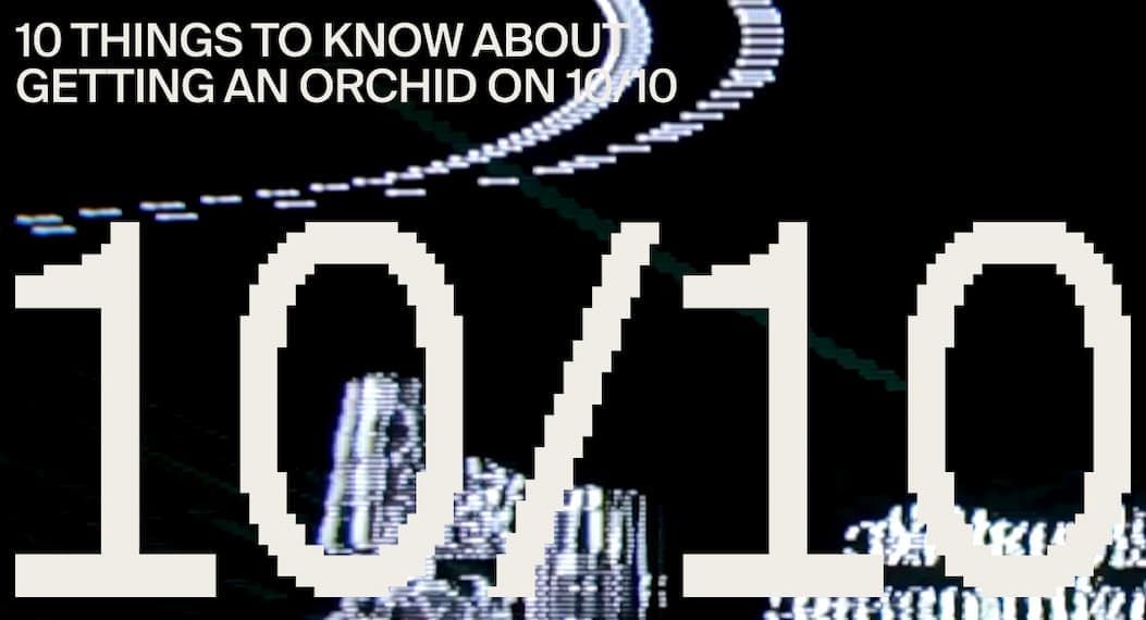 10/10 FAQs