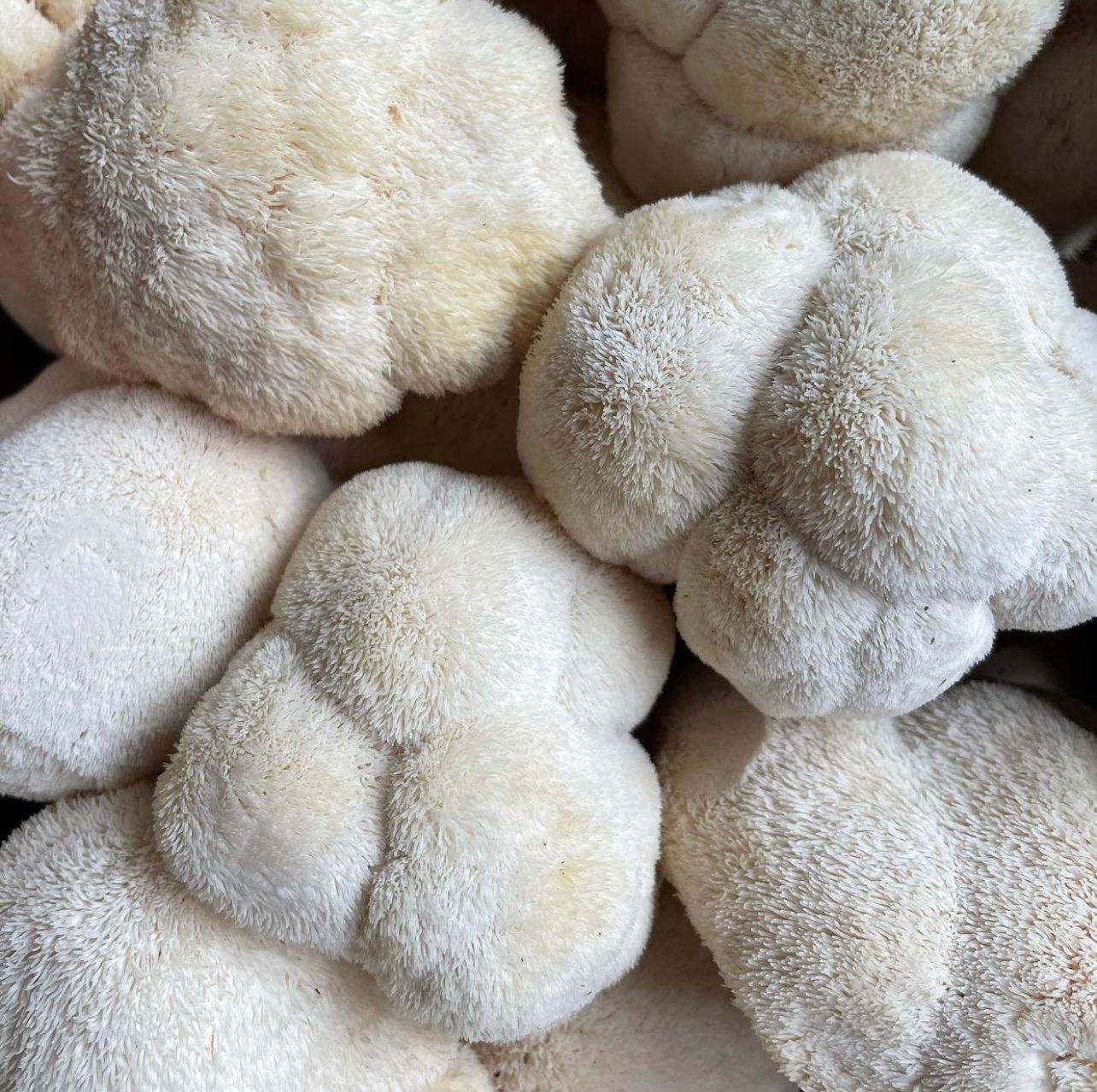 Ingredients, Allergens & Sustainability