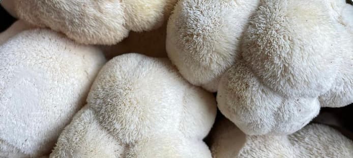 Ingredients, Allergens & Sustainability