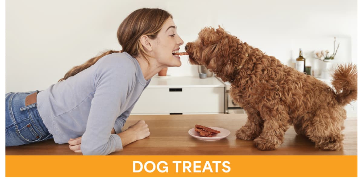 Dog Treats