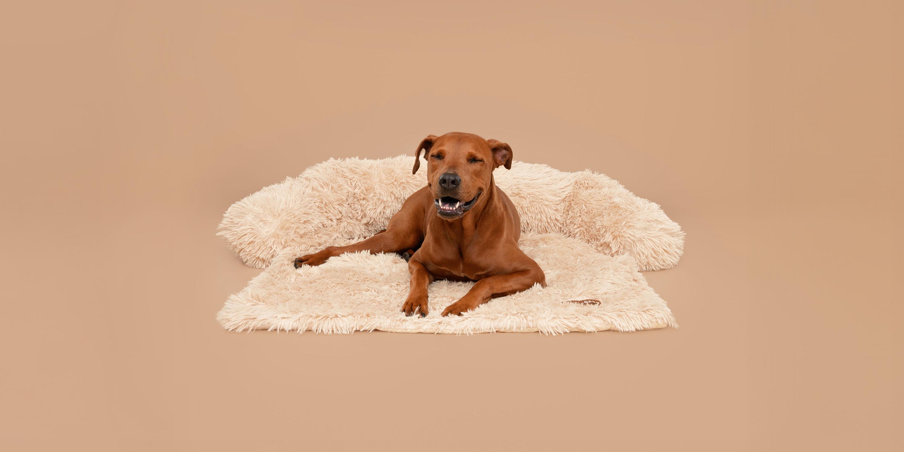 Original Pelsbarn® Beroligende Hundeseng