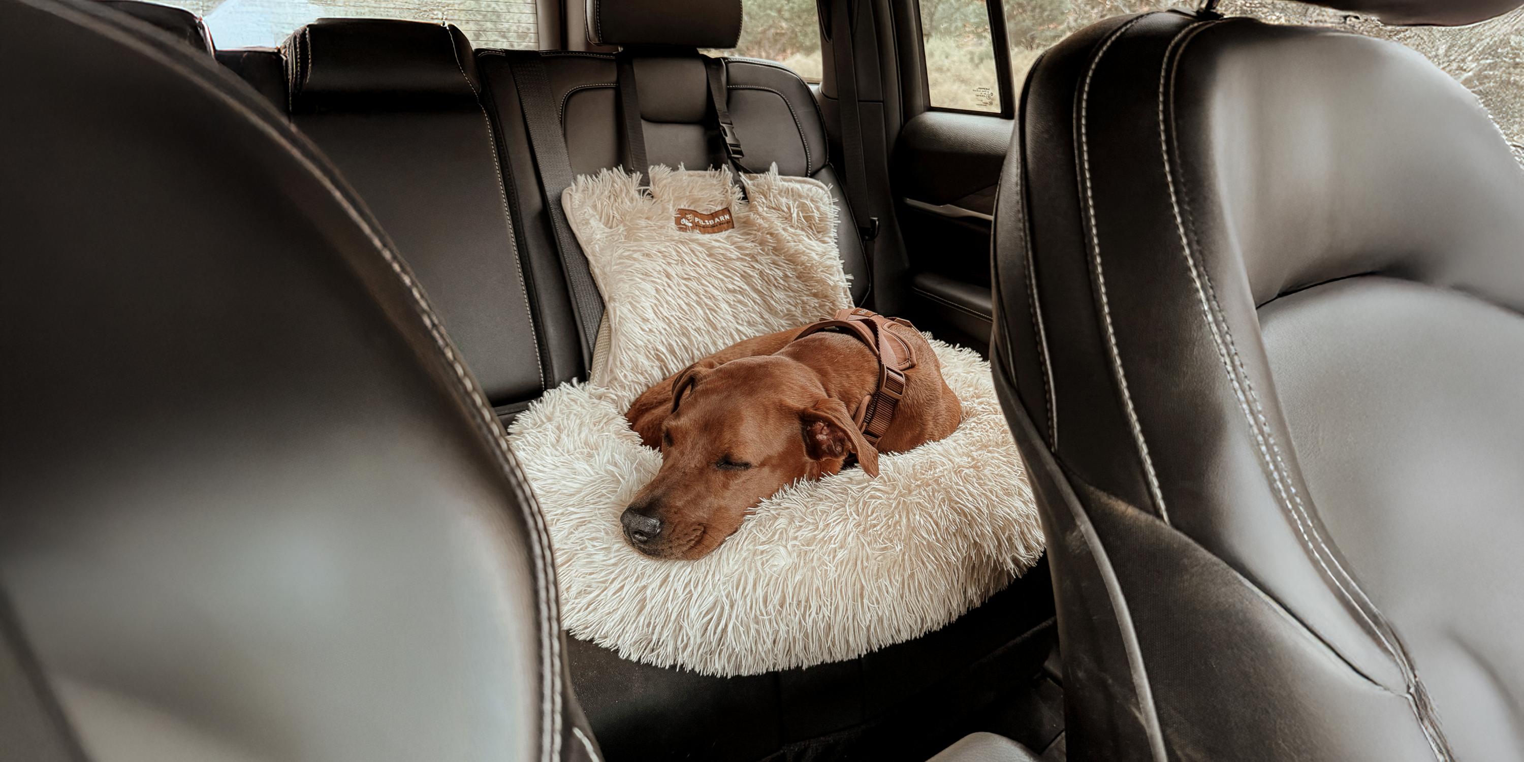 Calming Car Bed