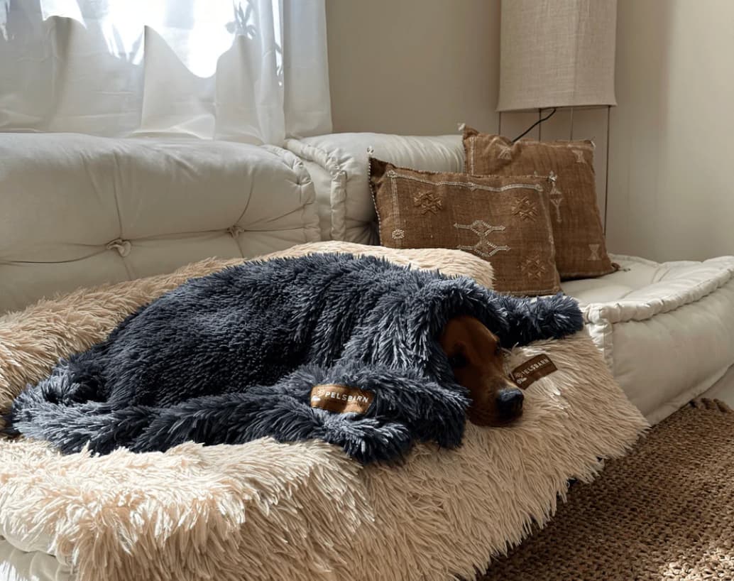 Calming Relief Blanket