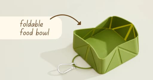 Foldable Food & Water Bowl