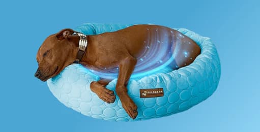 Cooling Donut Bed