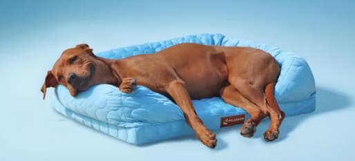 Orthopedic Cooling Dog Bed