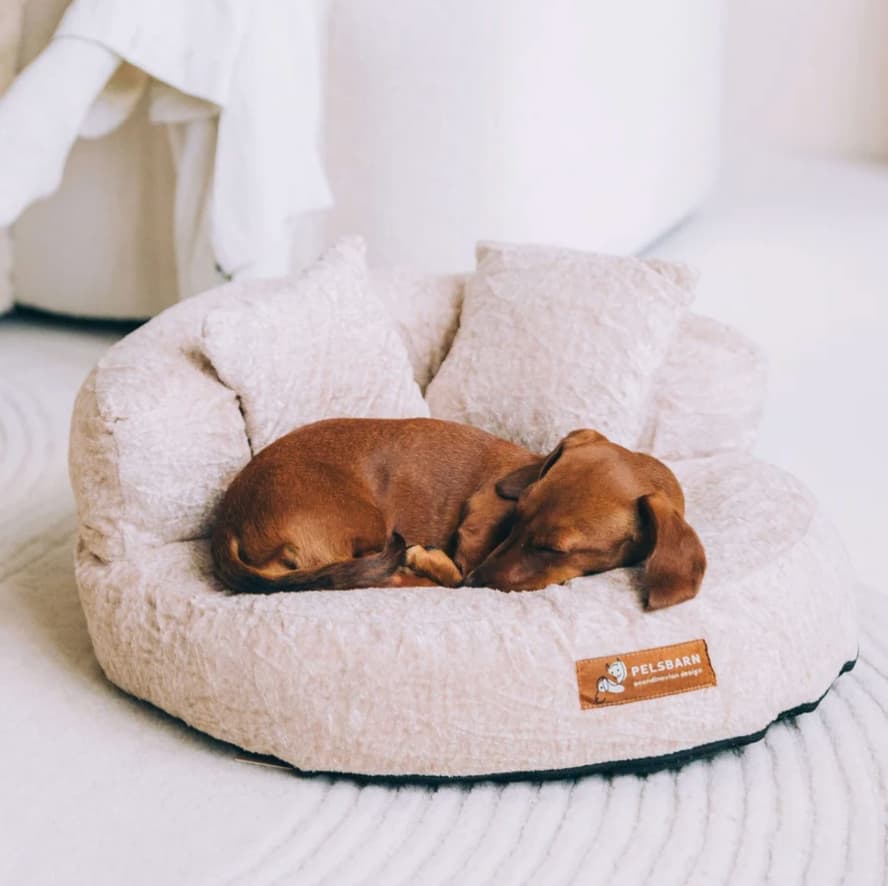 Cloud Velvet Loungebed