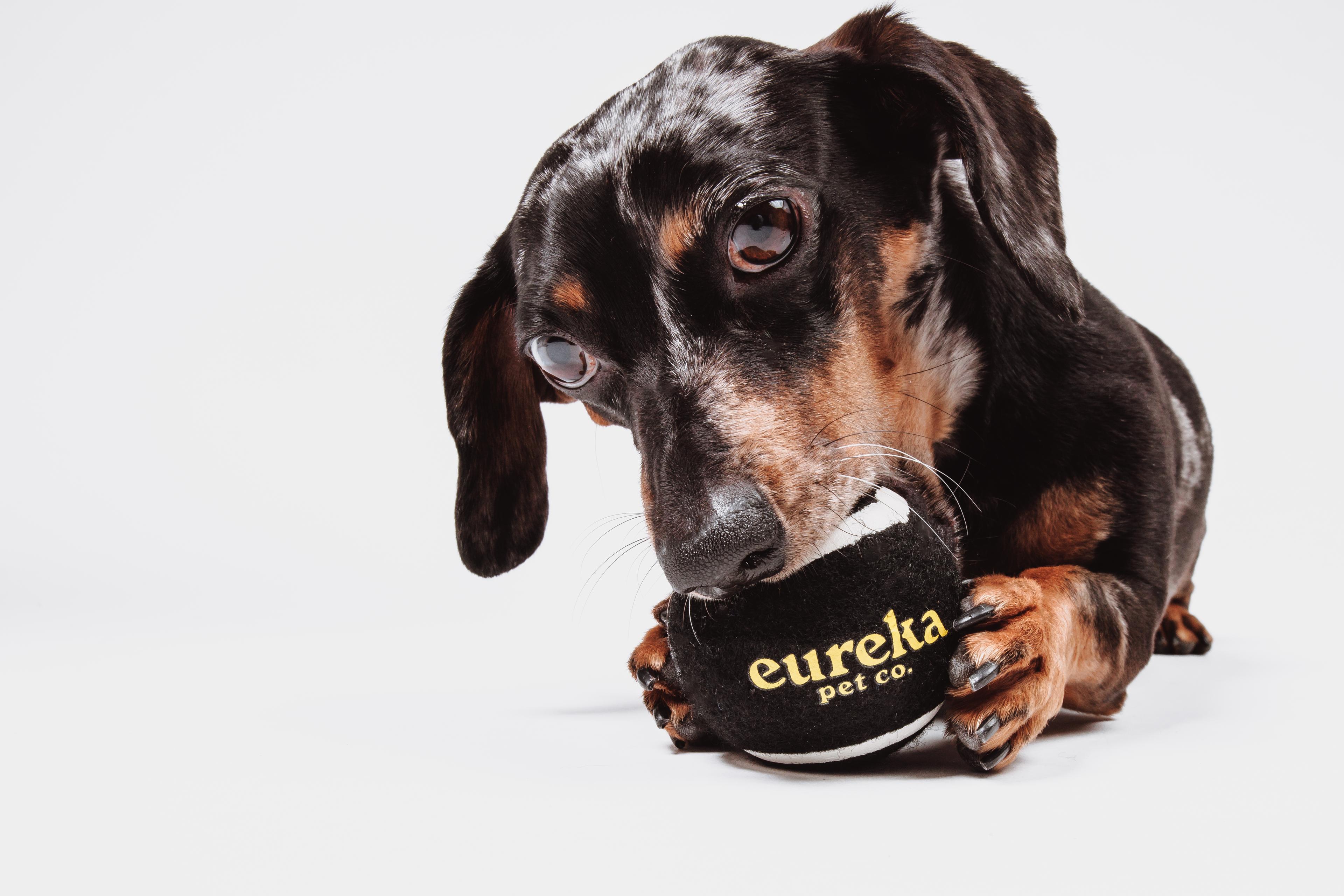 Manage My Subscription