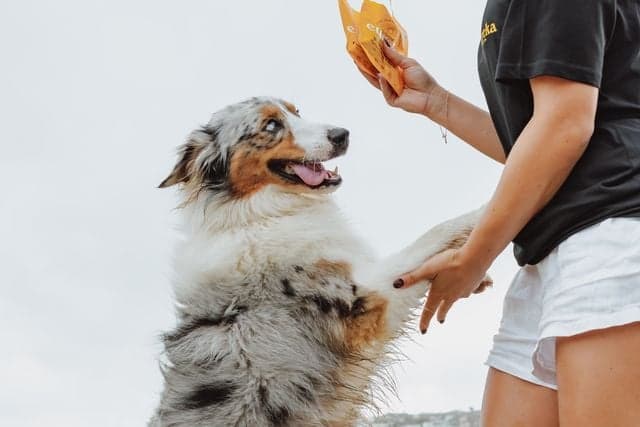 Deals, Programs & Partnerships