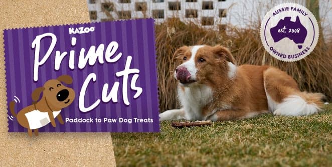Dog Treats