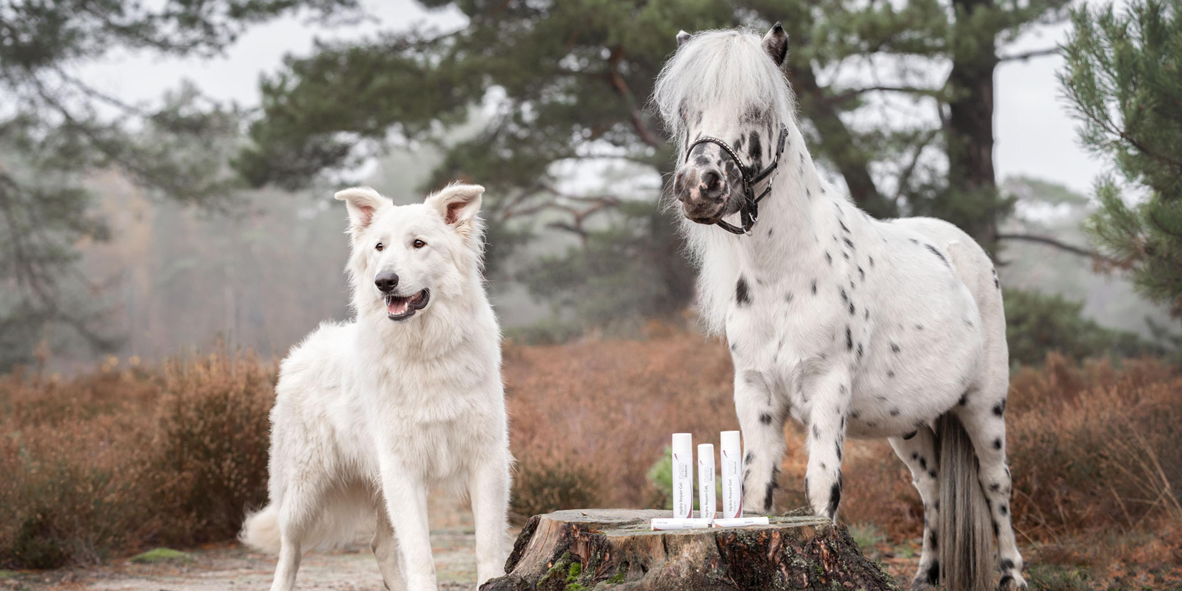 🚚 Versand & Lieferung