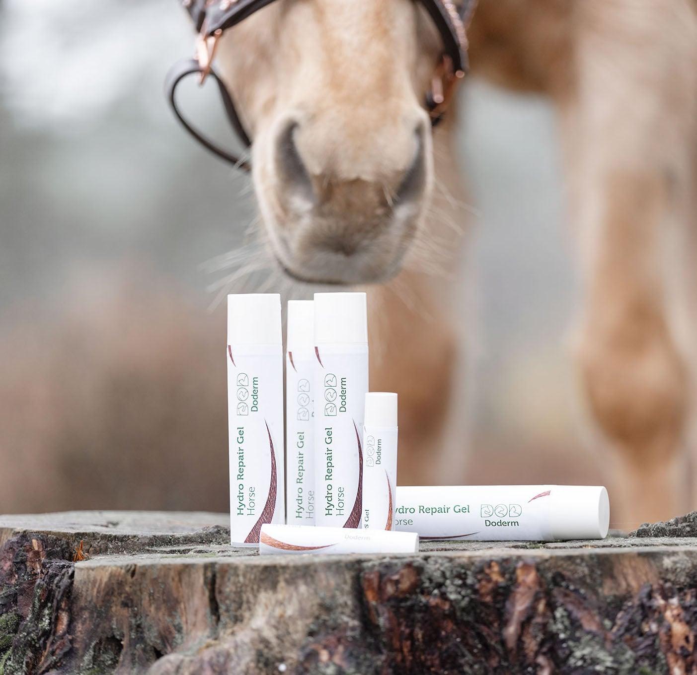 🪄 Produkte & Anwendung