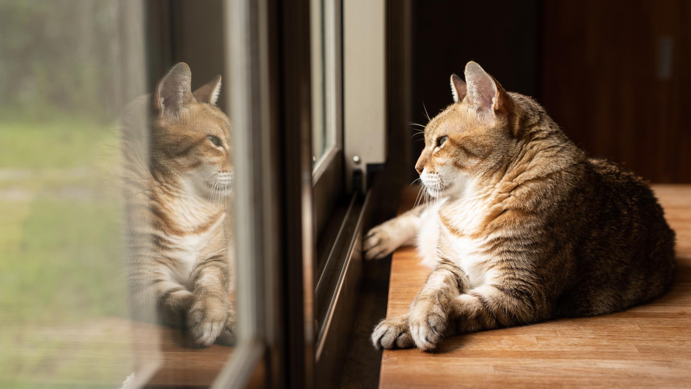 ♻️ Retouren & Rückerstattung