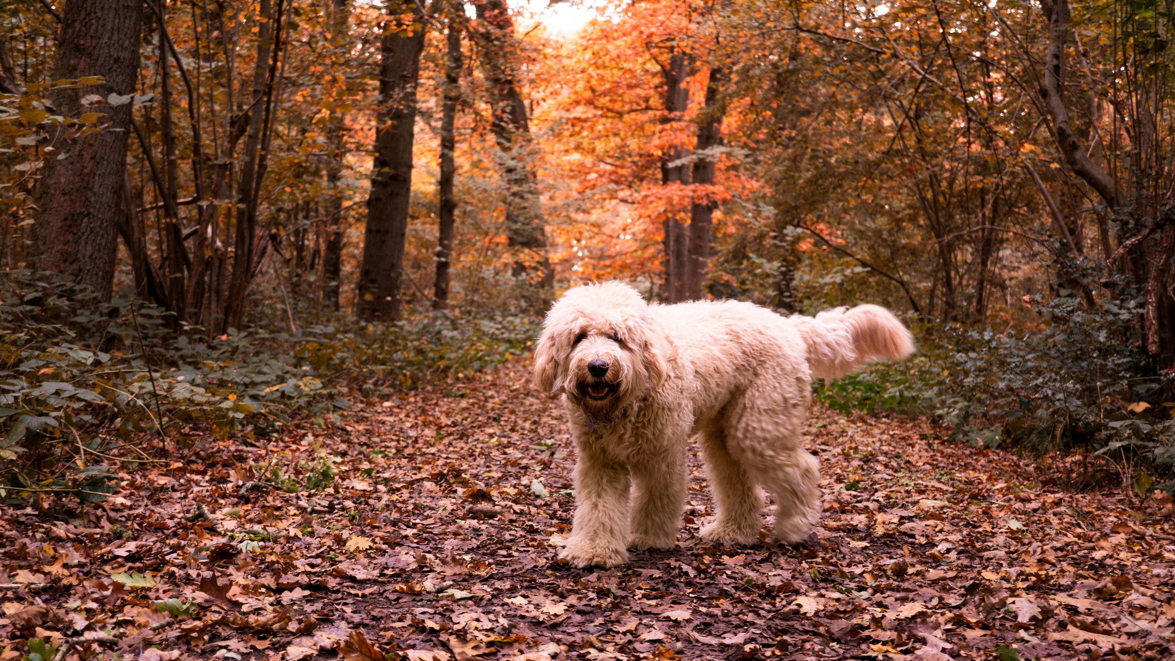 🫶 Proben & Empfehlungen