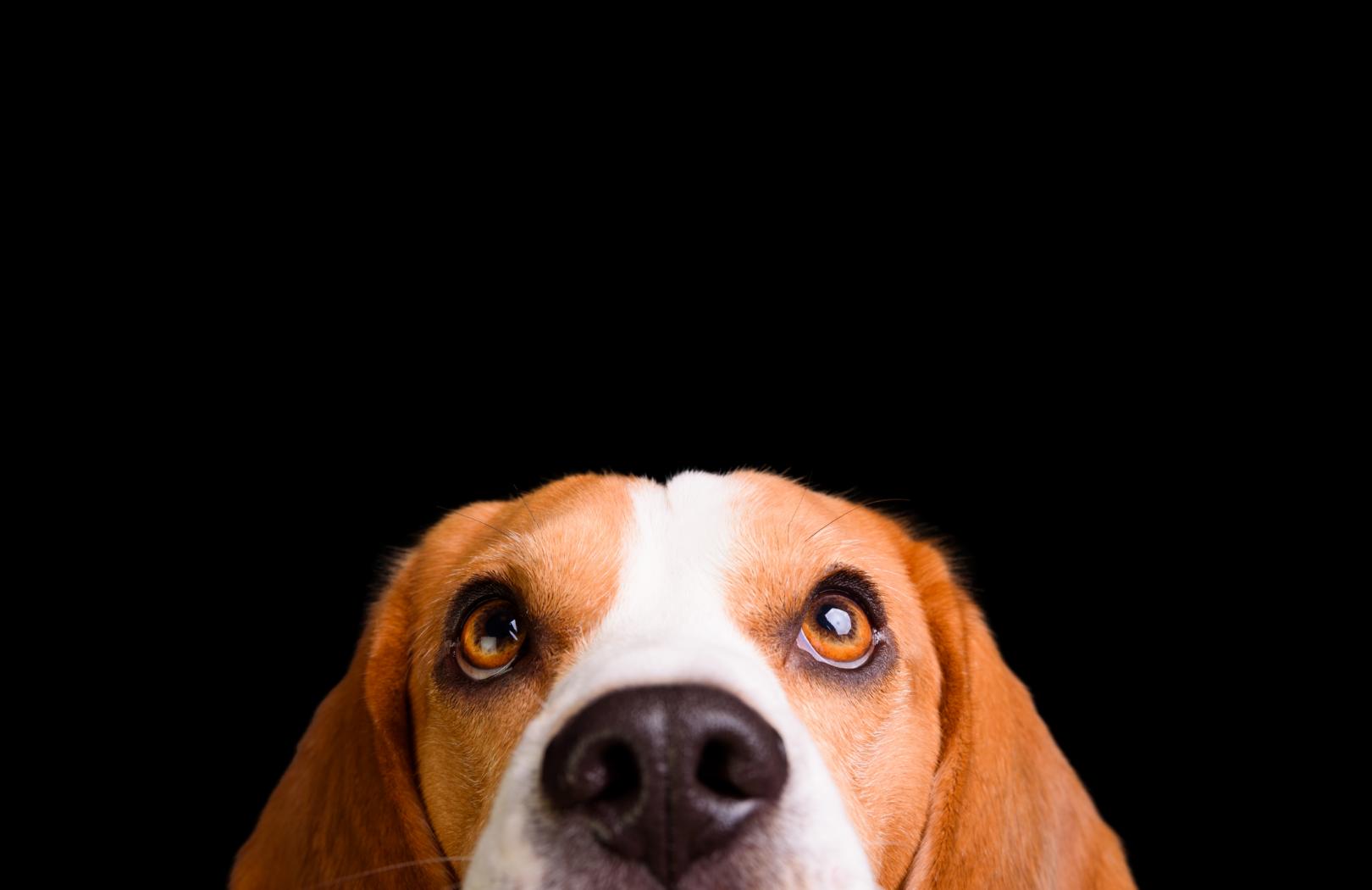 👤 Konto & Support