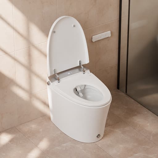 Eau Smart Toilet