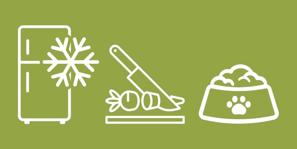 Food Storage, Preparation and Safety