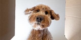 1. Returns & Refunds