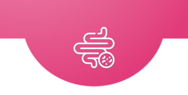 Gut Health