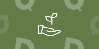 Plant Care