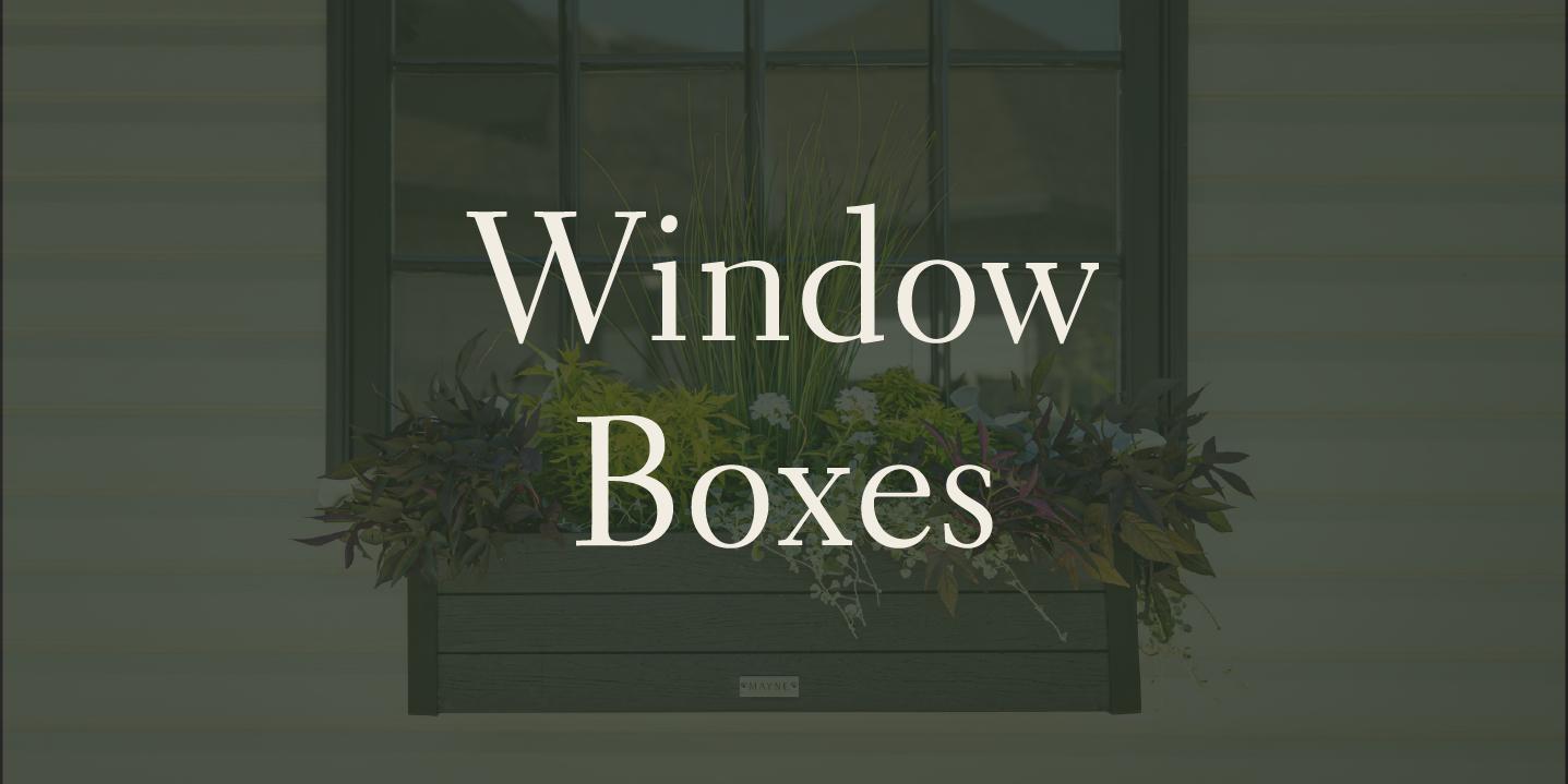 Window Boxes