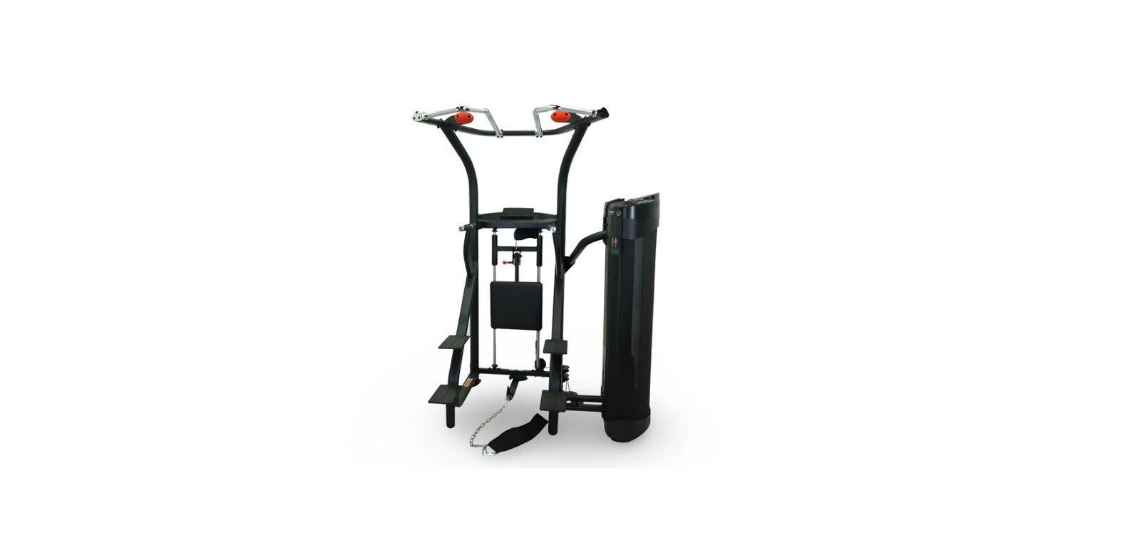 Inspire Commercial Assisted or Weighted Chin-Up & Dip Dual Selectorized Machine