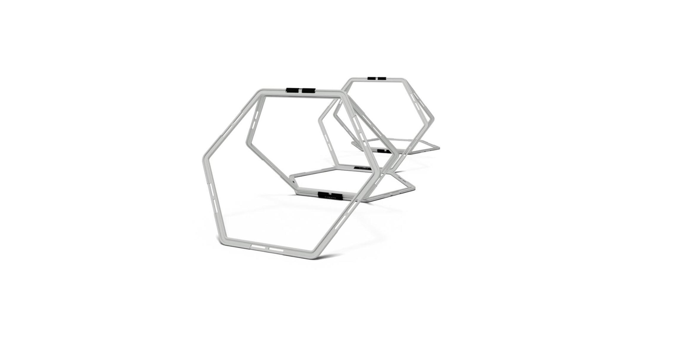 Centr x HYROX Perform Series Hexagon Hurdles