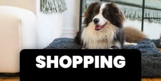 In Person Shopping