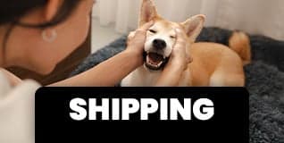 Orders & Shipping