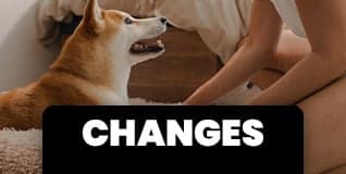 Changes & Cancellations