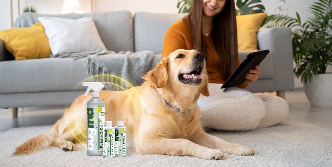 Flea + Tick Concentrate FAQs