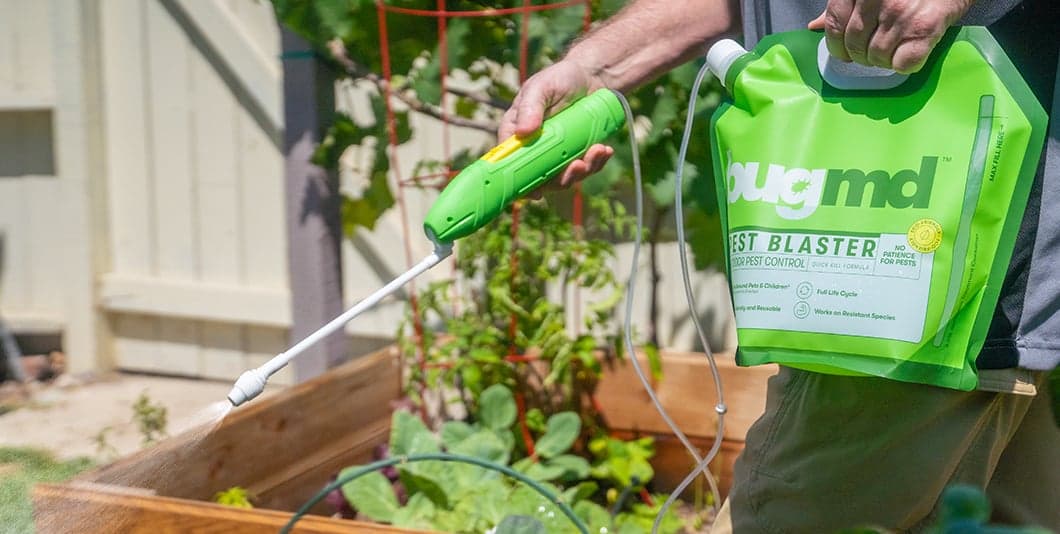 Pest Blaster Kit FAQs