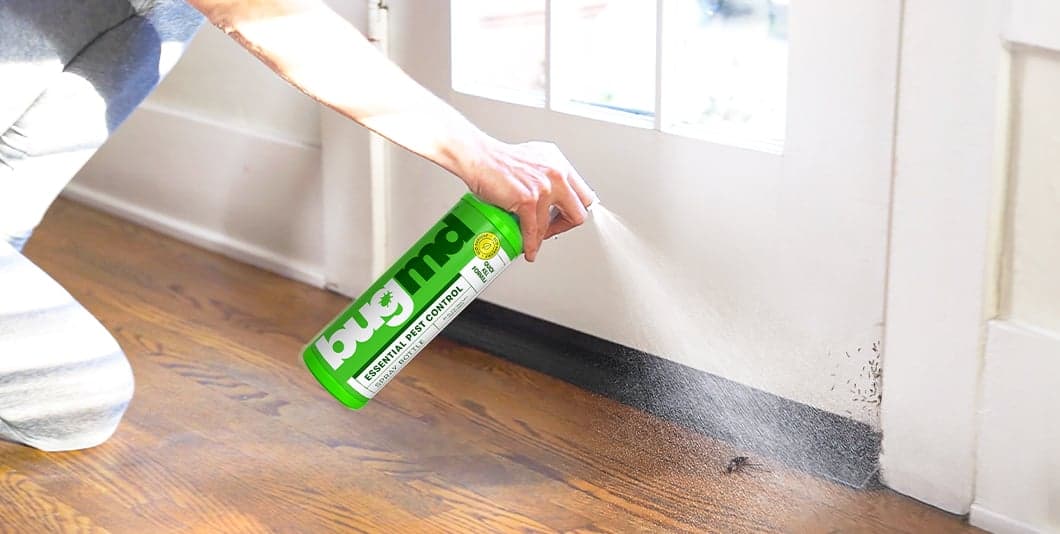 Essential Pest Concentrate FAQs