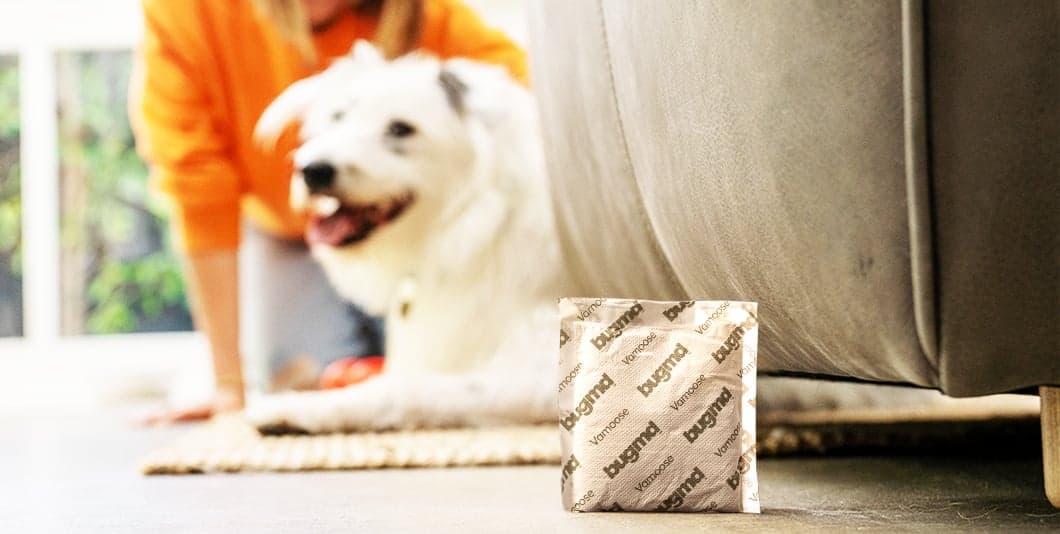 VAMOOSE! Rodent-Repelling Pouches FAQs