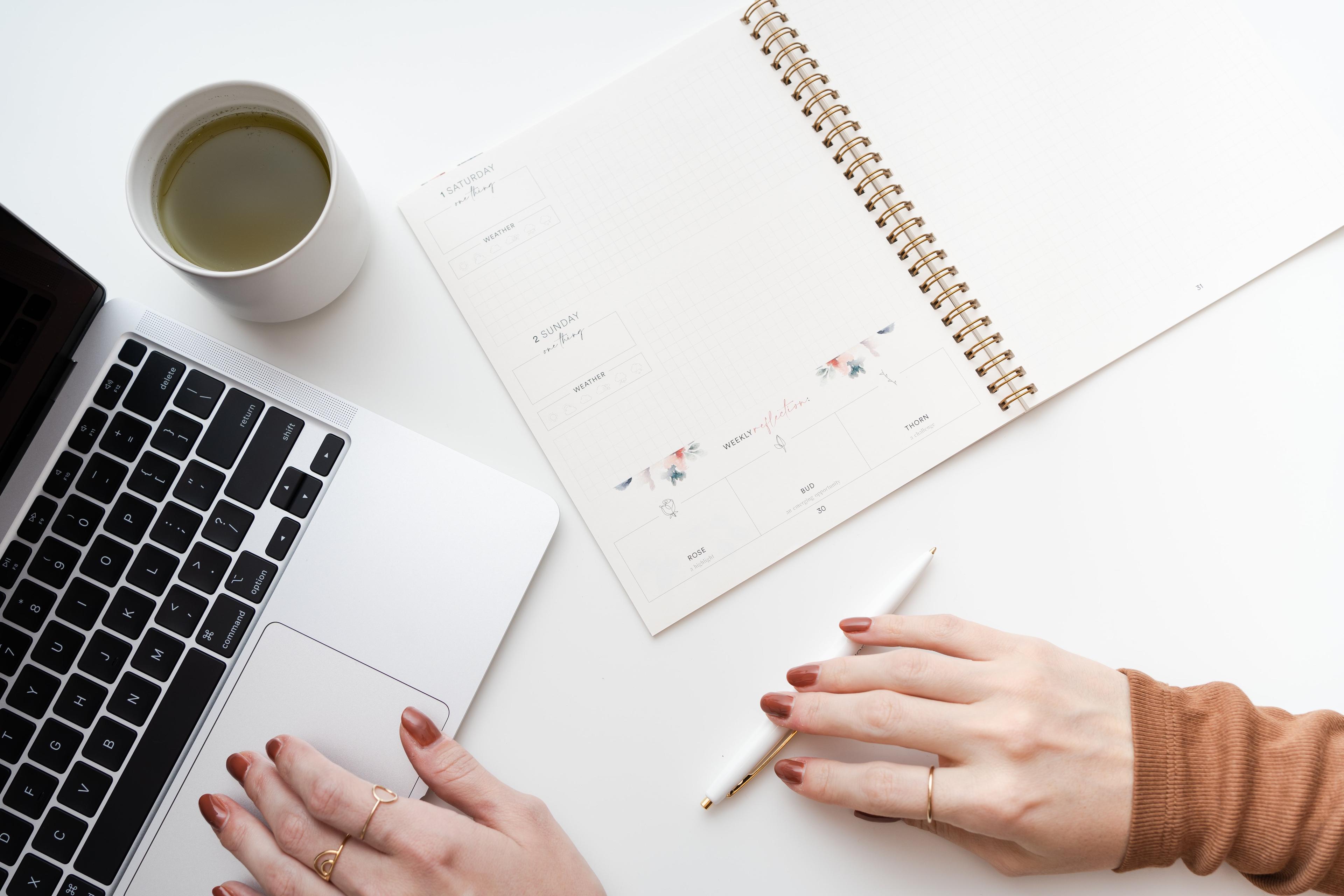 Digital Courses and Sonder Socials