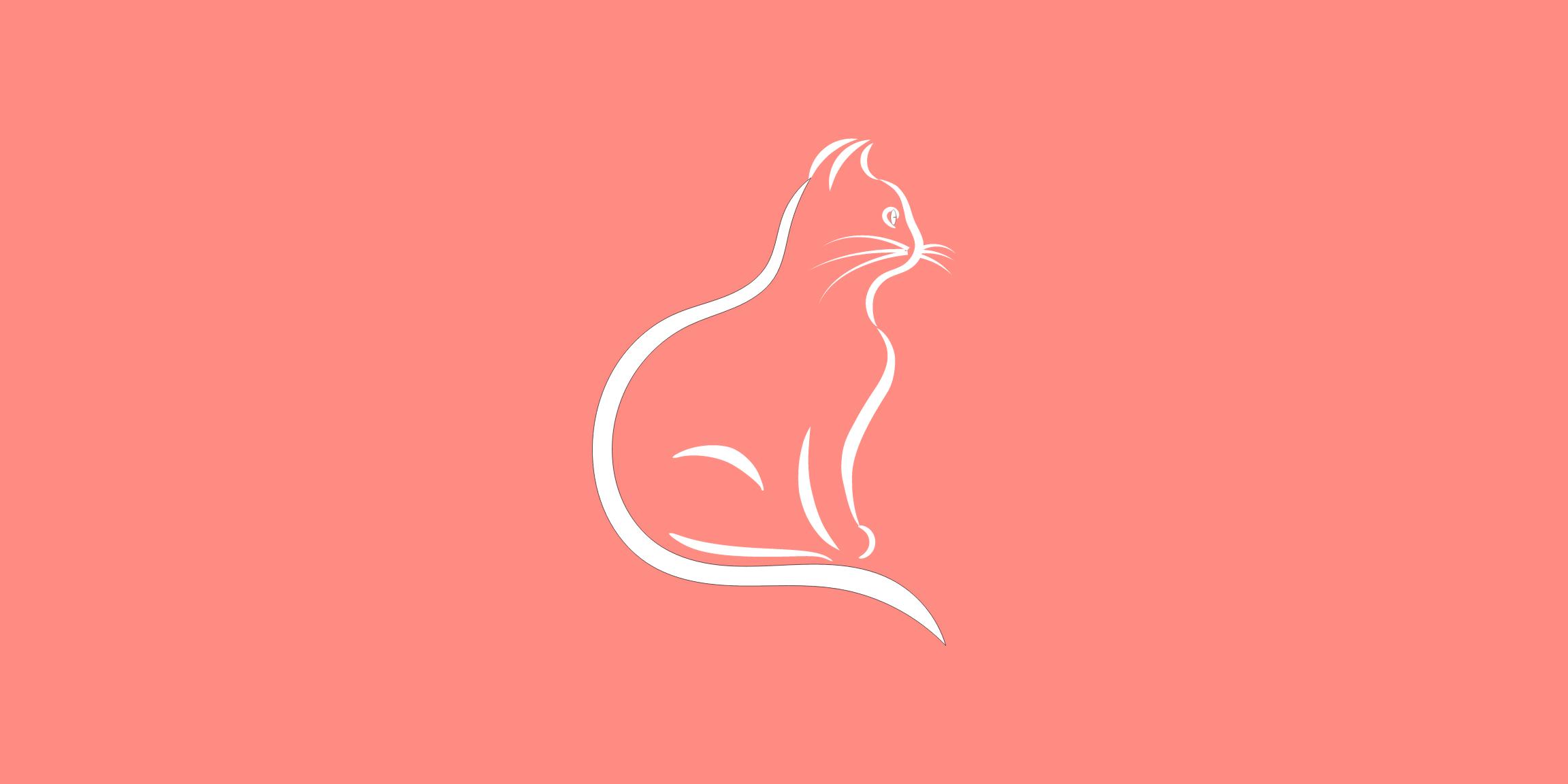 About Our Product