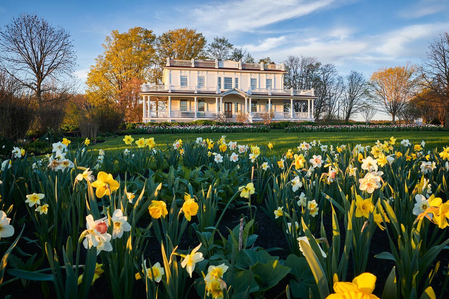 The History of Beekman 1802