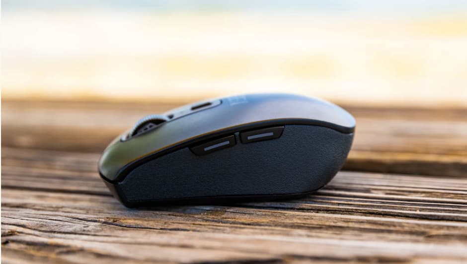 The Mouse