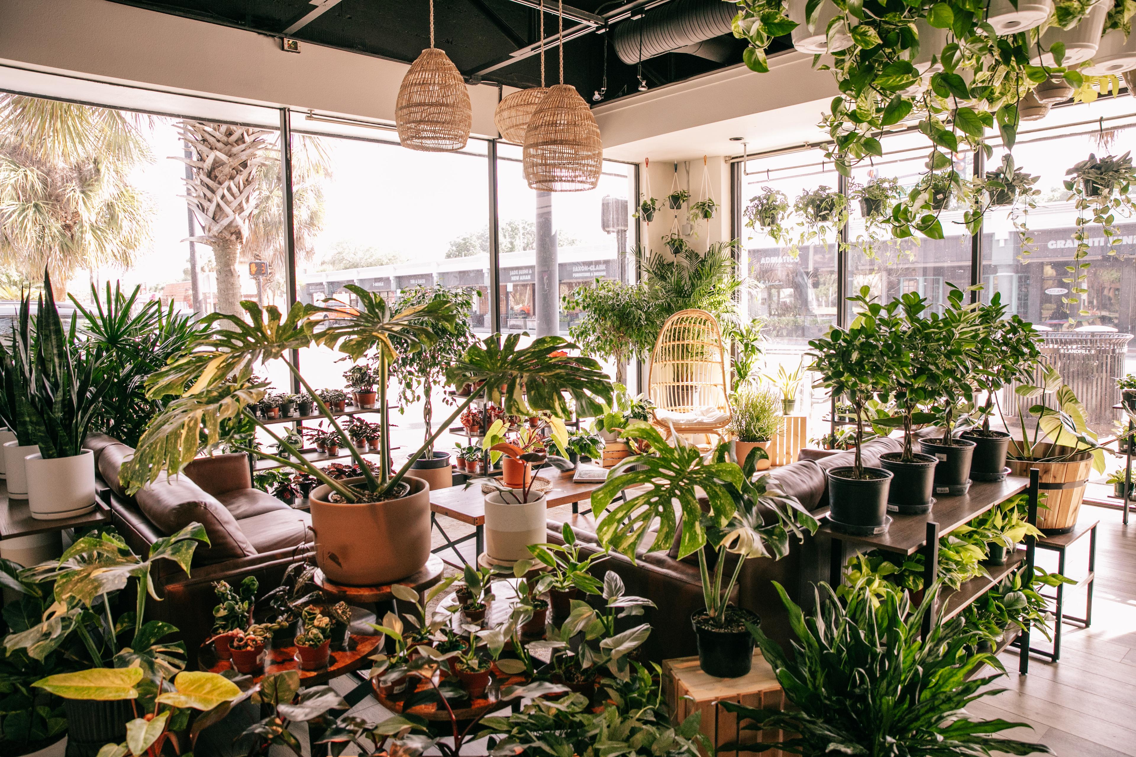 Local Pickup & In-Store