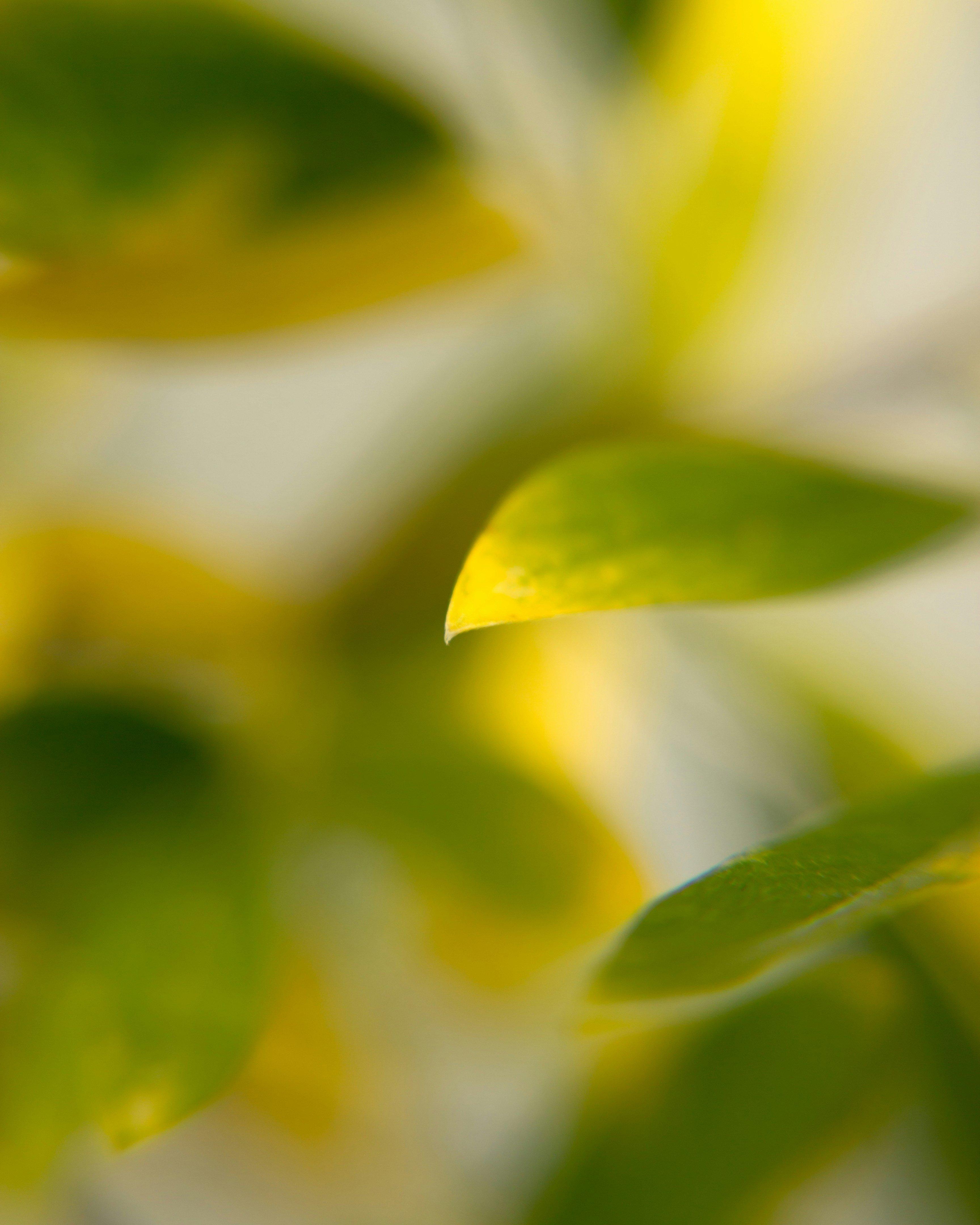 Account & Payment Information