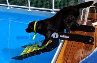Pool Dog Ladder (XPM-6)
