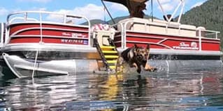 Pontoon Boat Dog Ladder (HSM-10)