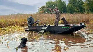 Hunting Dog Ladder (LM-6H)