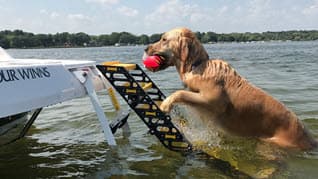 Fiberglass Boat Dog Ladder (SLM-12)