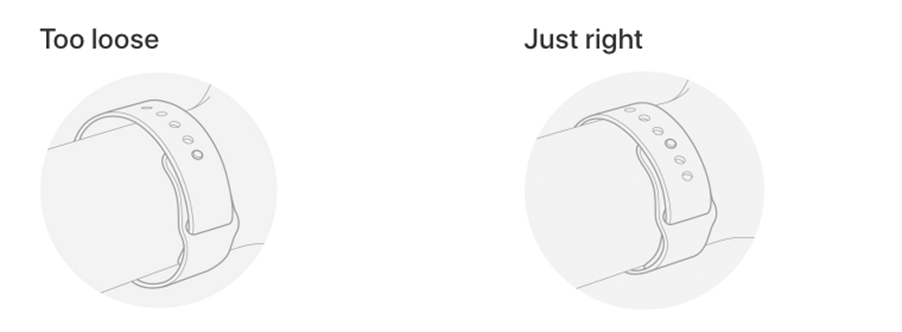 A diagram of a watchDescription automatically generated
