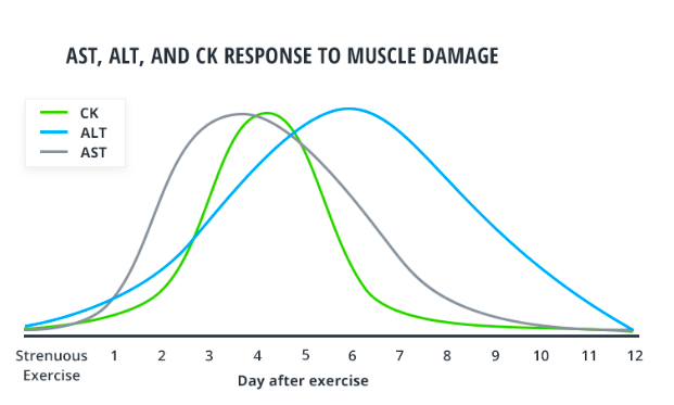 AST, ALT, and CK response to muscle damage