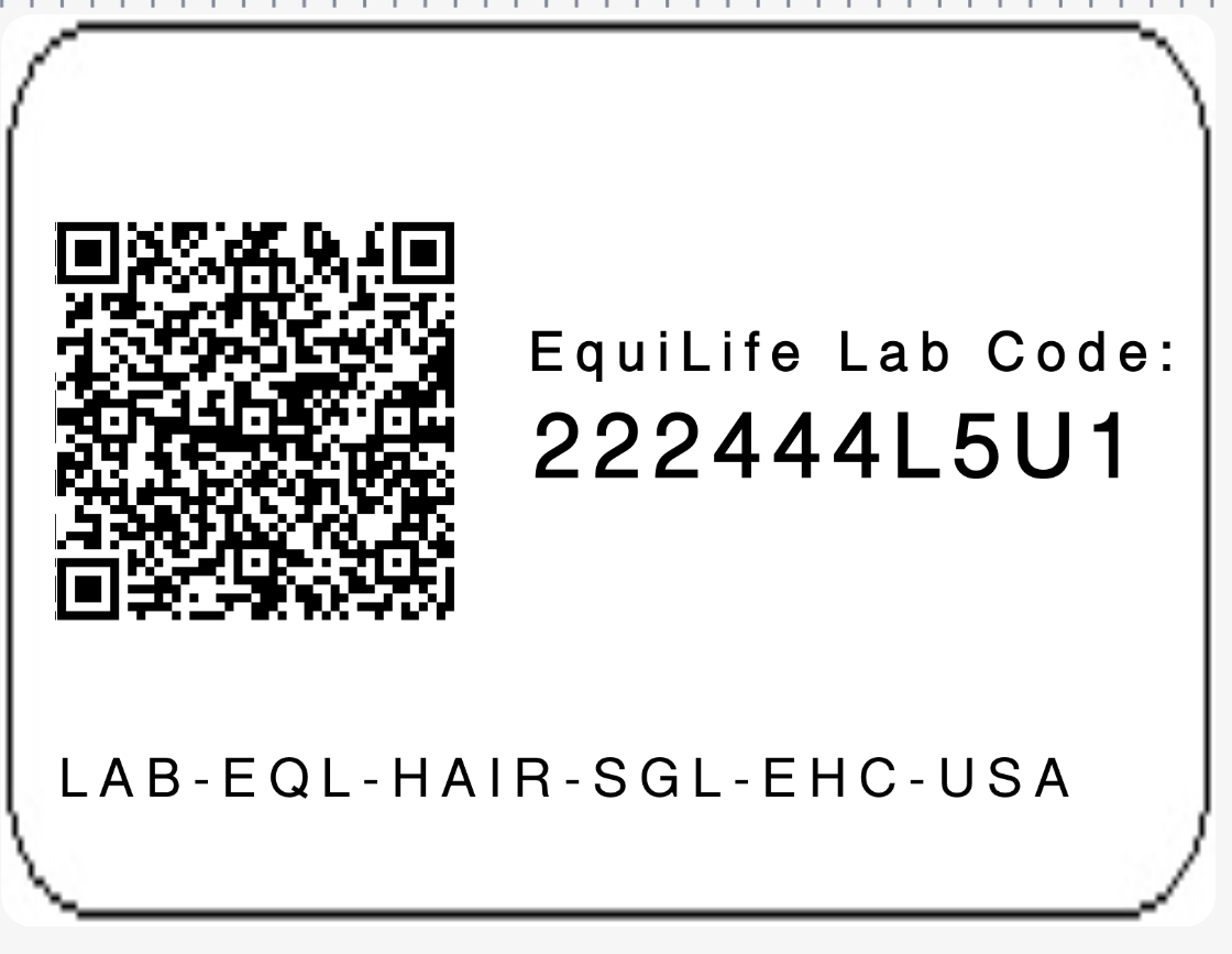 Sample EquiLife Lab Code and QR Code